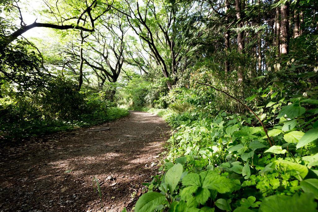 The Canvas Hayama Park Exterior foto